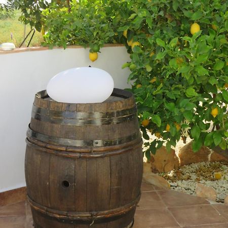 B&B Finca La Manchica Cartagena Buitenkant foto
